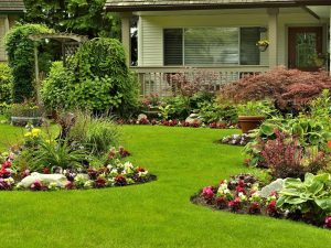 What Are Some of the Services Offered by a Landscaping Contractor? What Are Some of the Services Offered by a Landscaping Contractor?